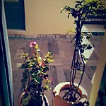 Polyxenia Hotell 4*