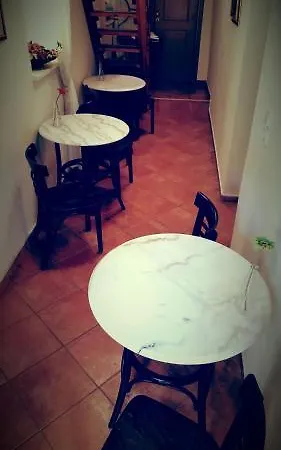 Polyxenia 4*