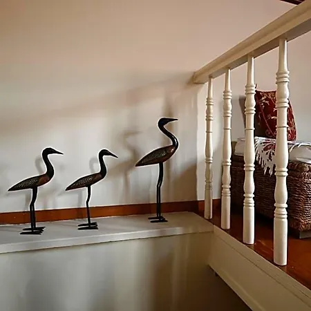 Hotel Polyxenia 4*